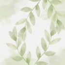 秋季節氣☘️白露｜夜涼晨濕